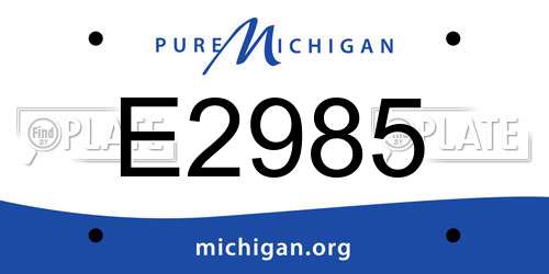 E2985 Michigan License Plate