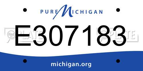 E307183 Michigan License Plate