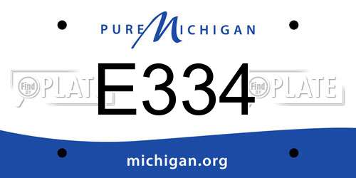 E334 Michigan License Plate