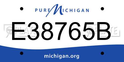 E38765B Michigan License Plate