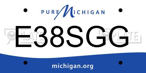 E38SGG Michigan License Plate