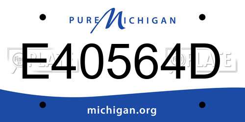 E40564D Michigan License Plate