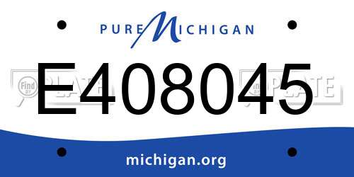 E408045 Michigan License Plate