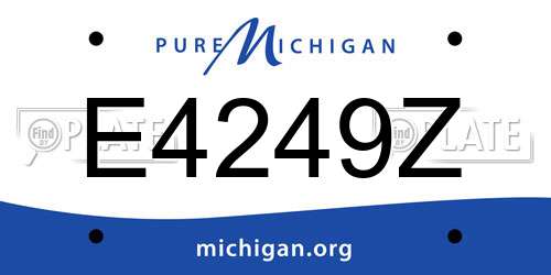 E4249Z Michigan License Plate