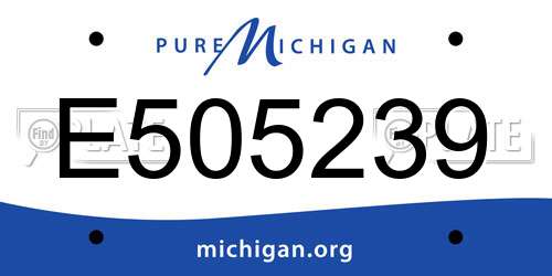 E505239 Michigan License Plate