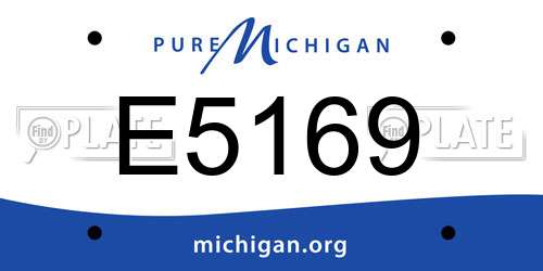 E5169 Michigan License Plate