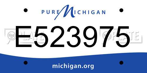 E523975 Michigan License Plate