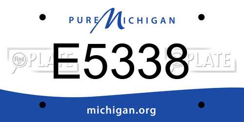 E5338 Michigan License Plate