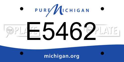 E5462 Michigan License Plate