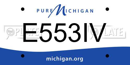 E553IV Michigan License Plate