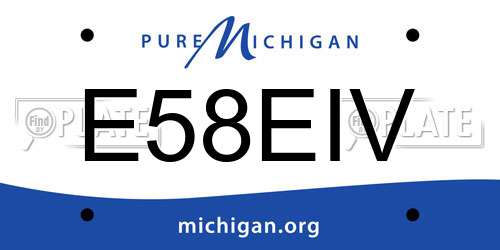 E58EIV Michigan License Plate