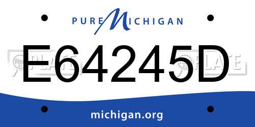 E64245D Michigan License Plate