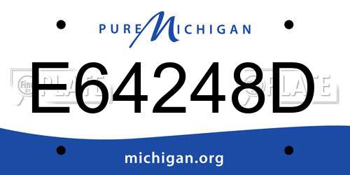 E64248D Michigan License Plate