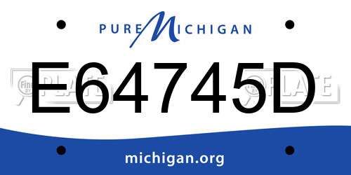 E64745D Michigan License Plate