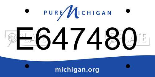 E647480 Michigan License Plate