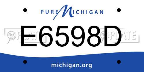 E6598D Michigan License Plate