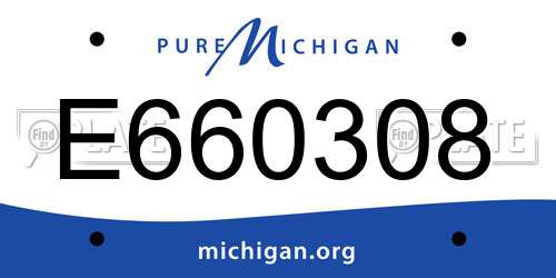 E660308 Michigan License Plate