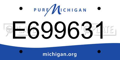 E699631 Michigan License Plate