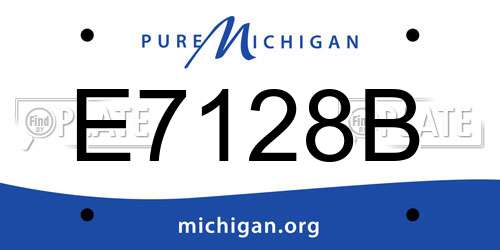 E7128B Michigan License Plate