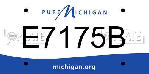 E7175B Michigan License Plate