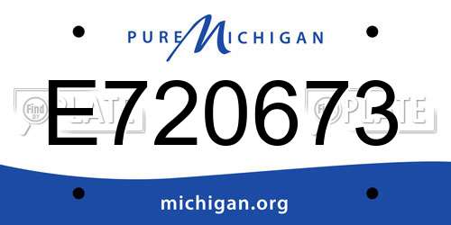 E720673 Michigan License Plate