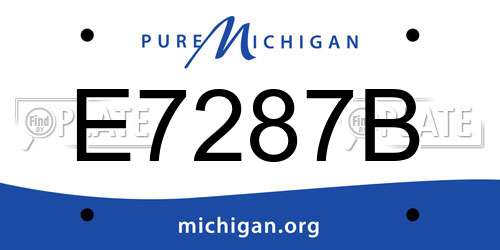 E7287B Michigan License Plate