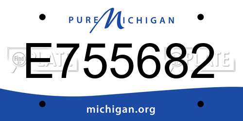 E755682 Michigan License Plate