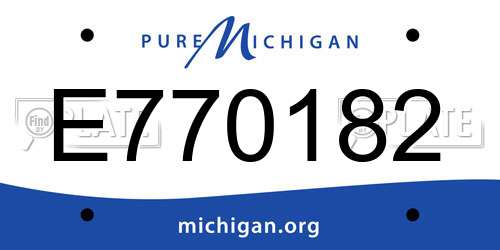 E770182 Michigan License Plate