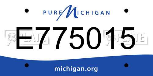 E775015 Michigan License Plate