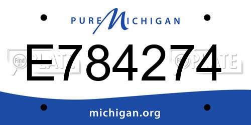 E784274 Michigan License Plate