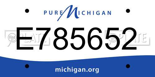 E785652 Michigan License Plate