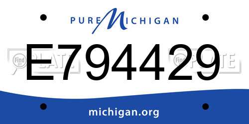 E794429 Michigan License Plate