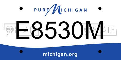 E8530M Michigan License Plate