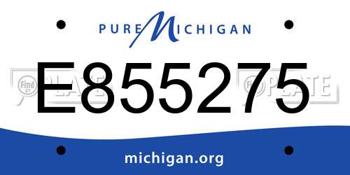 E855275 Michigan License Plate
