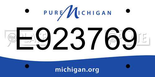 E923769 Michigan License Plate