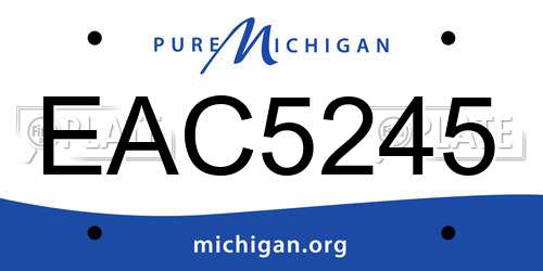 EAC5245 Michigan License Plate