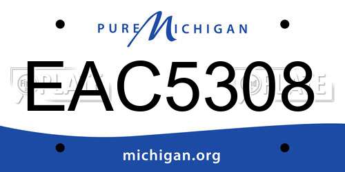 EAC5308 Michigan License Plate