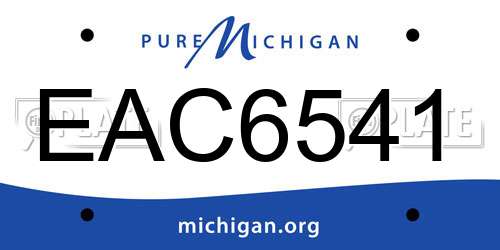 EAC6541 Michigan License Plate