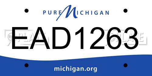 EAD1263 Michigan License Plate