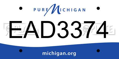 EAD3374 Michigan License Plate