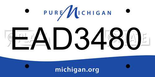 EAD3480 Michigan License Plate