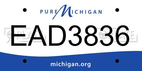 EAD3836 Michigan License Plate