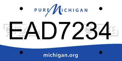 EAD7234 Michigan License Plate