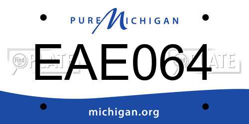 EAE064 Michigan License Plate