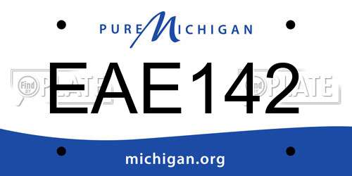 EAE142 Michigan License Plate