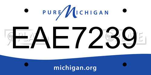 EAE7239 Michigan License Plate