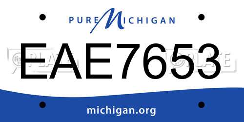 EAE7653 Michigan License Plate