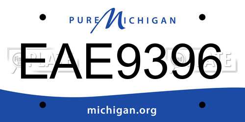 EAE9396 Michigan License Plate