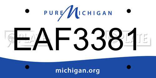EAF3381 Michigan License Plate