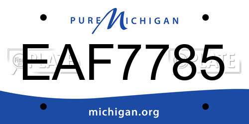 EAF7785 Michigan License Plate